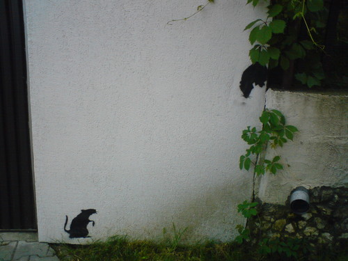 RATS
