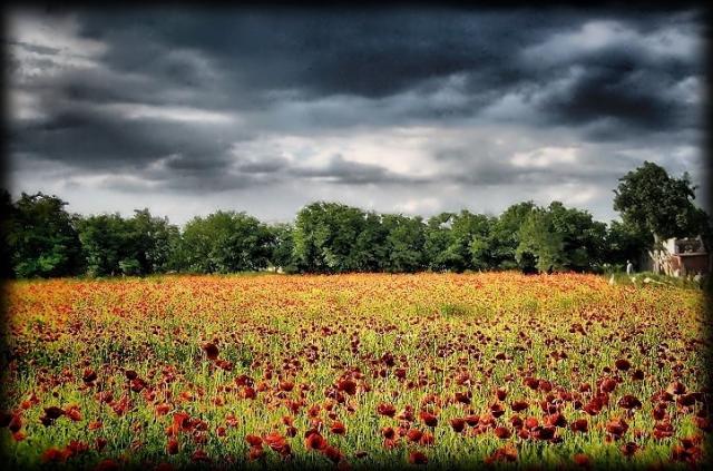 Maki - HDRi...