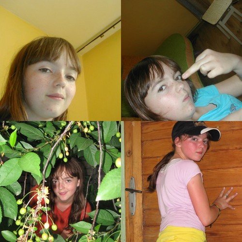 4 in 1