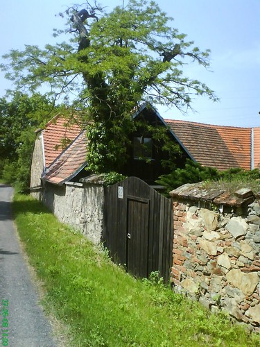 Wpis kalislaw