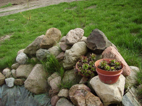 KAWA SKALNIAKA