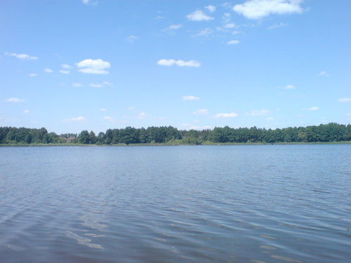 Wpis bogdan195