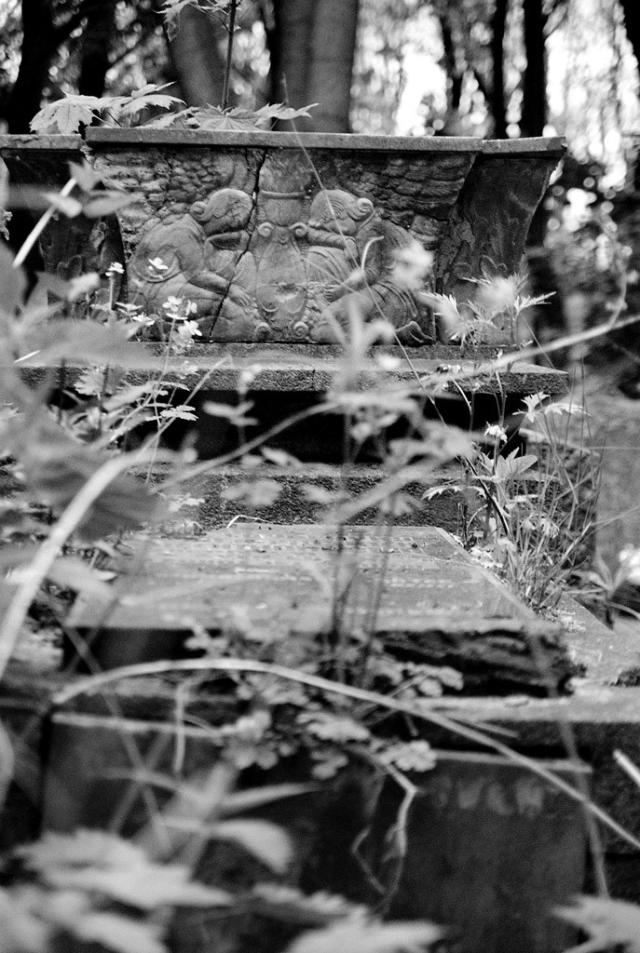 Through grass
