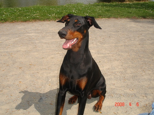 Wpis krycho1994