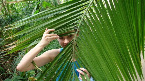 Tropical Island!!