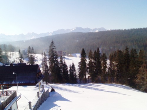 Zima