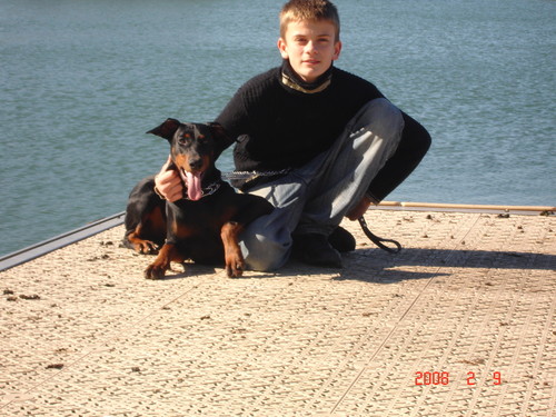 Wpis krycho1994
