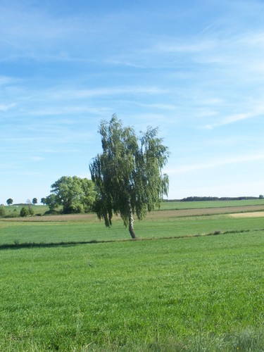Wpis oczypelneklamstw
