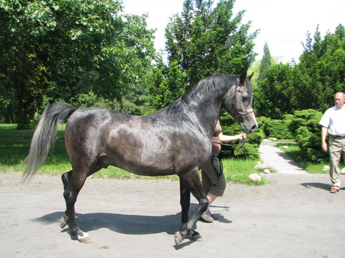 celsjusz