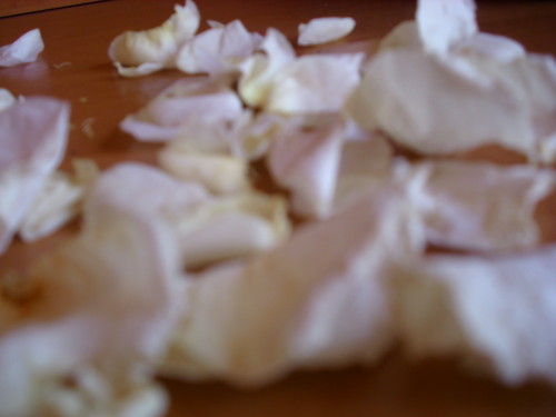 Wpis andzeelaa