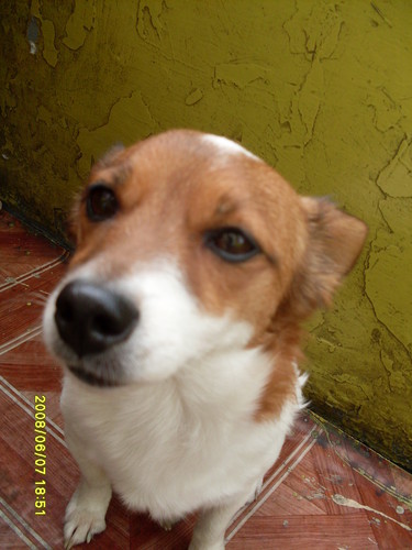 Wpis martusieq