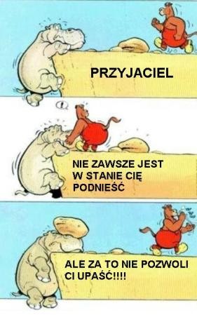Wpis frends004