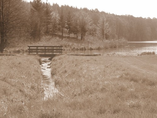 natchnienie 