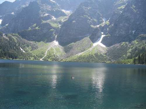 MORSKIE OKO...