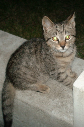 Wpis cukierkowaslodkosc