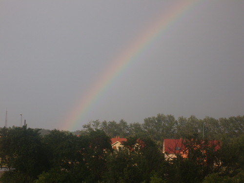 Tcza  Leszno 