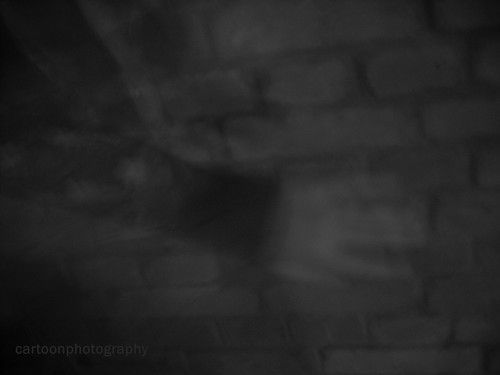 Wpis cartoonphotography
