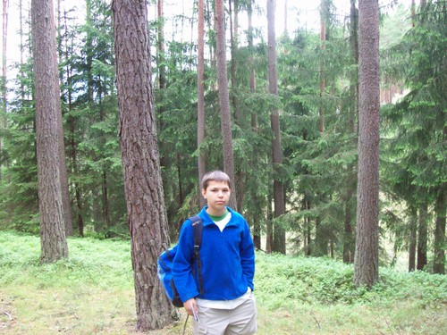 Wpis paul95