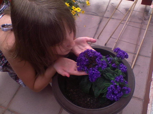Muuua xd
