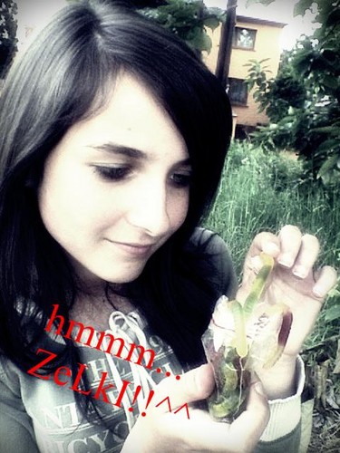 Wpis xxxxxrenatkaxxxxx