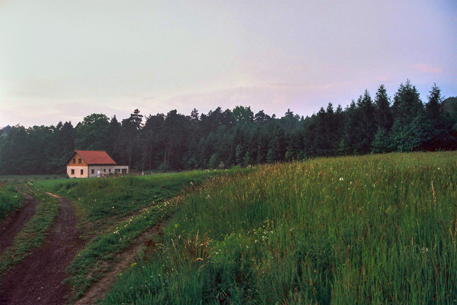 Po deszczu.