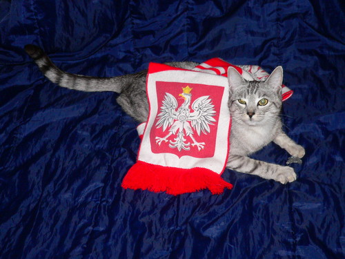 Ja te kibicuj Polsce
