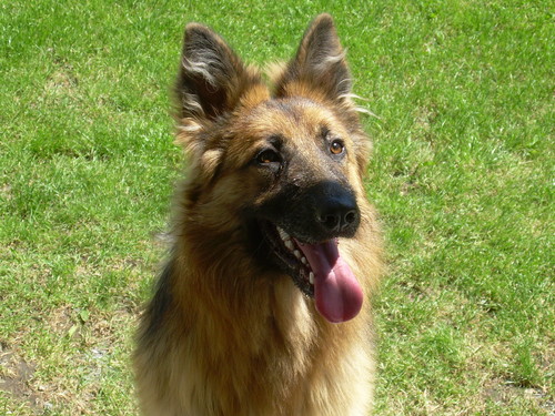 ASTI:)