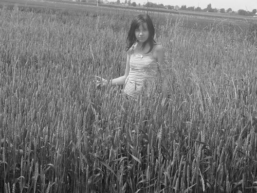 Wpis roseanddaisy