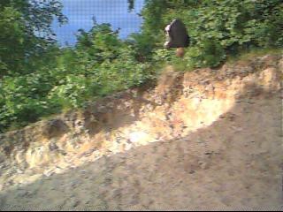 Salto 