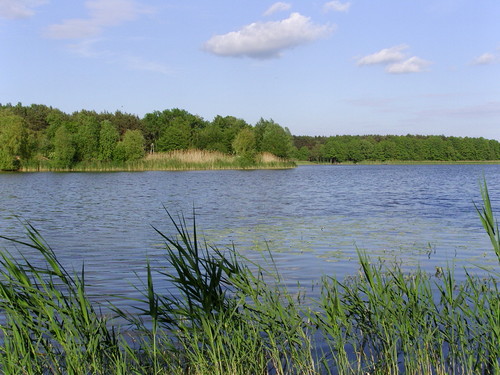 Wpis tajemnicza0girl
