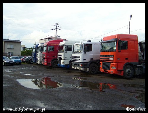 Wpis huliganelany