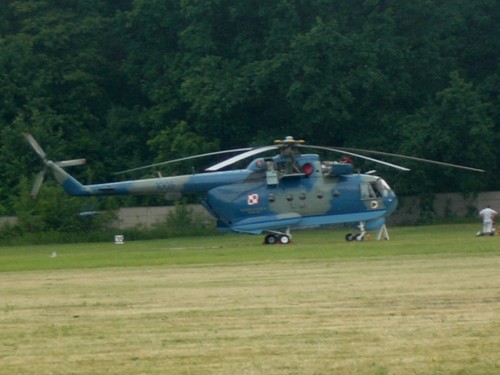 Graszka 2008