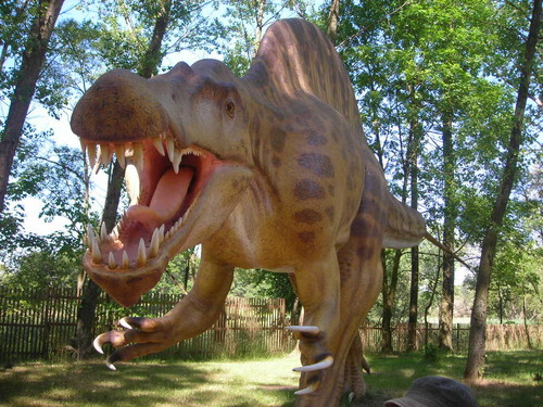 spinozur