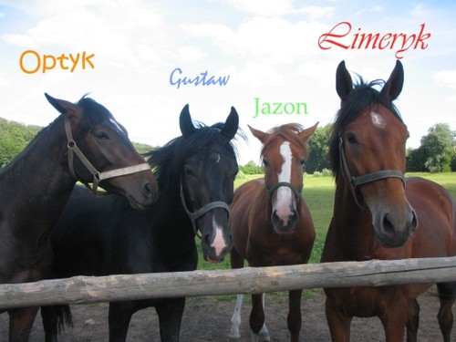 BRACIA =D