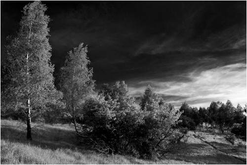 Pseudo-IR