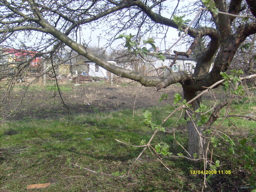 Wpis marcin1987m