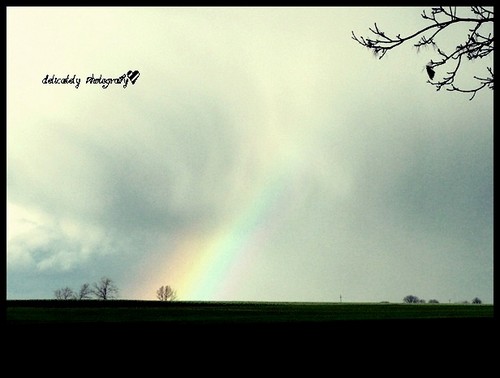 rainbowo 