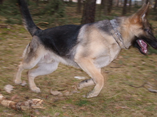 Wpis brzeszczott72