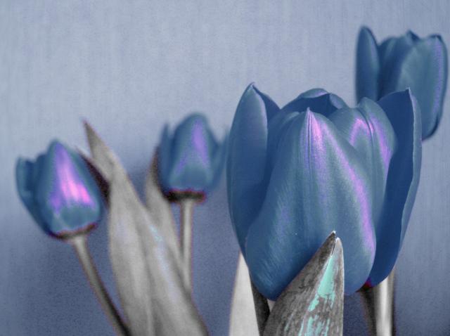 BLUES