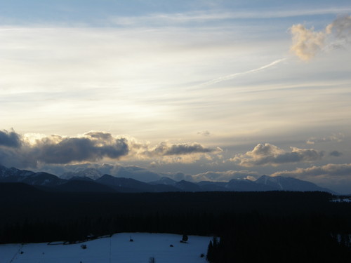 widoczek