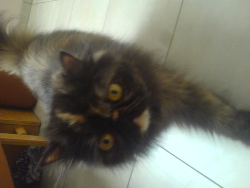 Ieczek :*:*