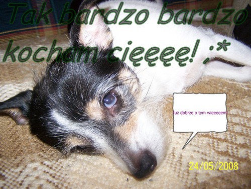 Idu ;*