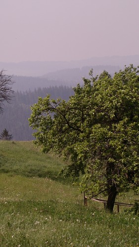 Wpis kubik141