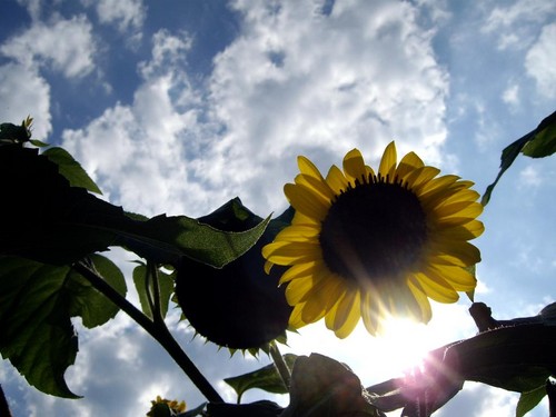 delicately photografy
