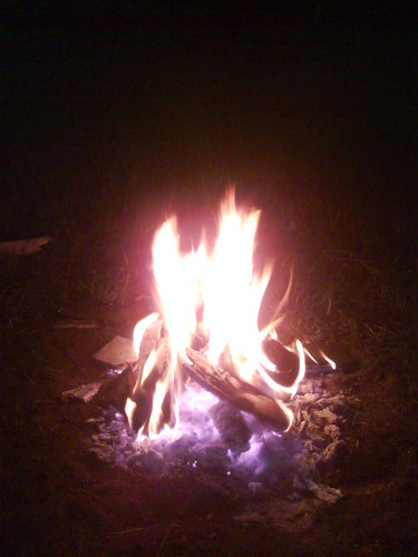..dziki grill..