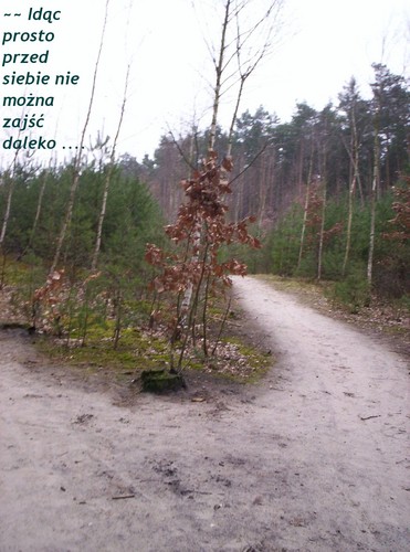=)