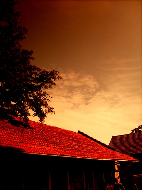 Wpis pannaslodkokwasna