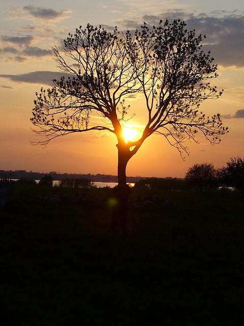 Szumiela Pani K.:)