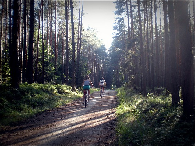 Wpis czekooladowa