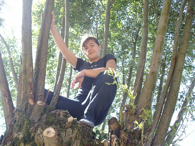 Wpis martus7